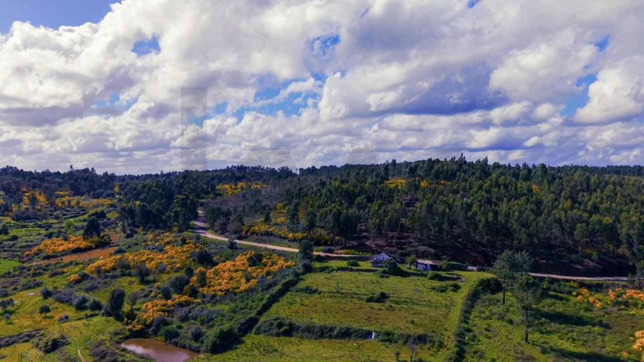 Terreno para Venda em Belver Foto 5