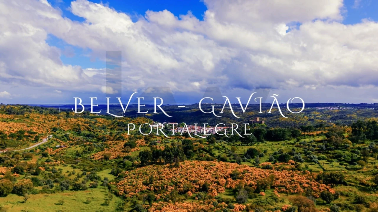 Terreno para Venda em Belver Foto 15