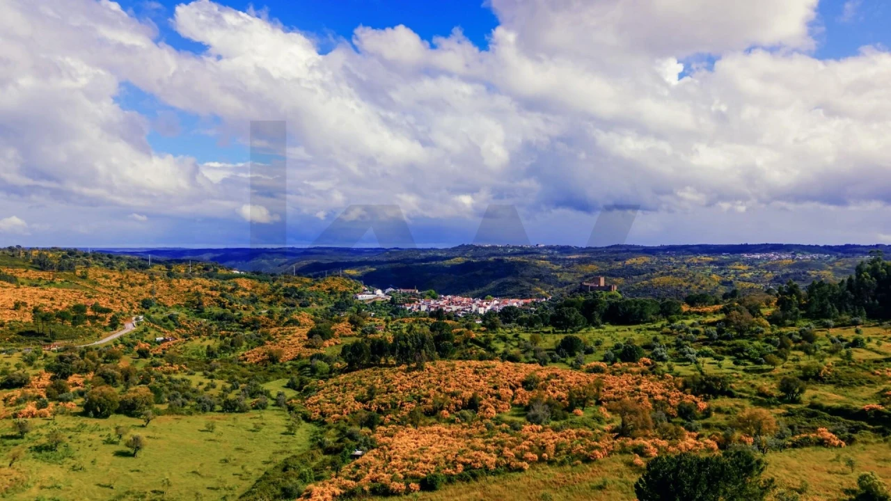 Terreno para Venda em Belver Foto 1