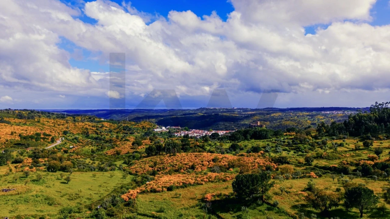 Terreno para Venda em Belver Foto 10