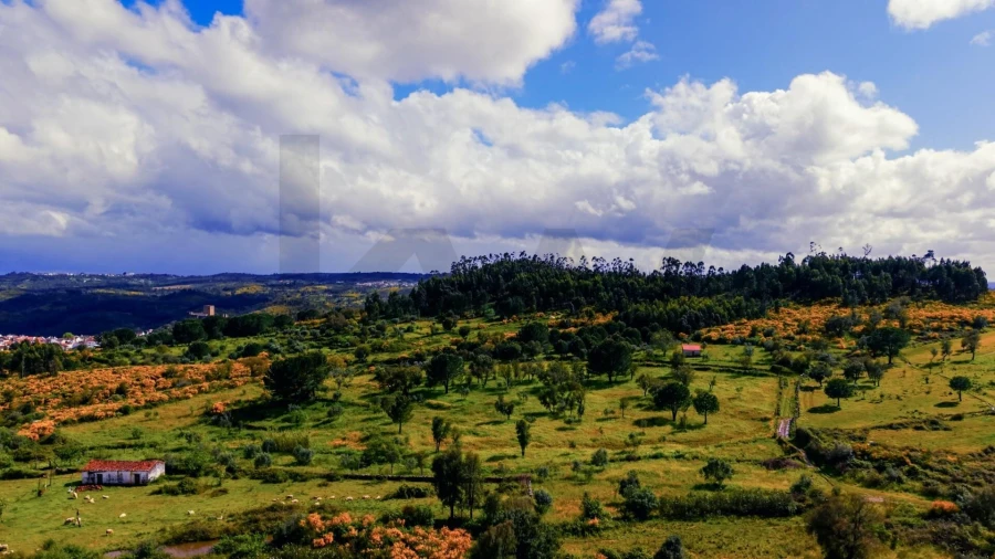 Terreno para Venda em Belver Foto 11