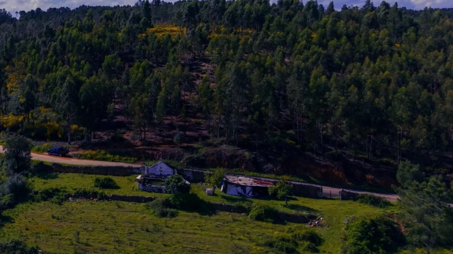 Terreno para Venda em Belver Foto 12