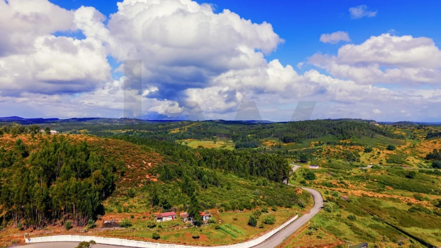 Terreno para Venda em Belver Foto 3
