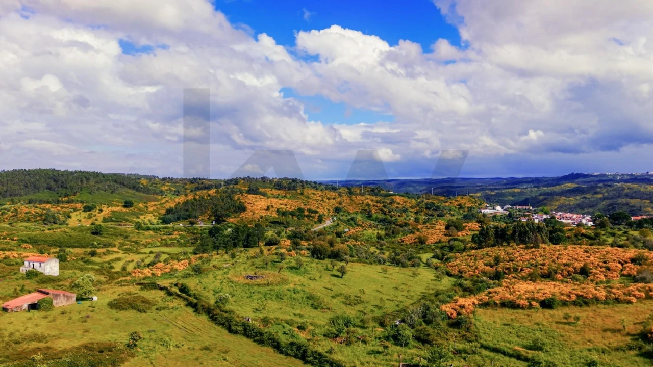 Terreno para Venda em Belver Foto 2