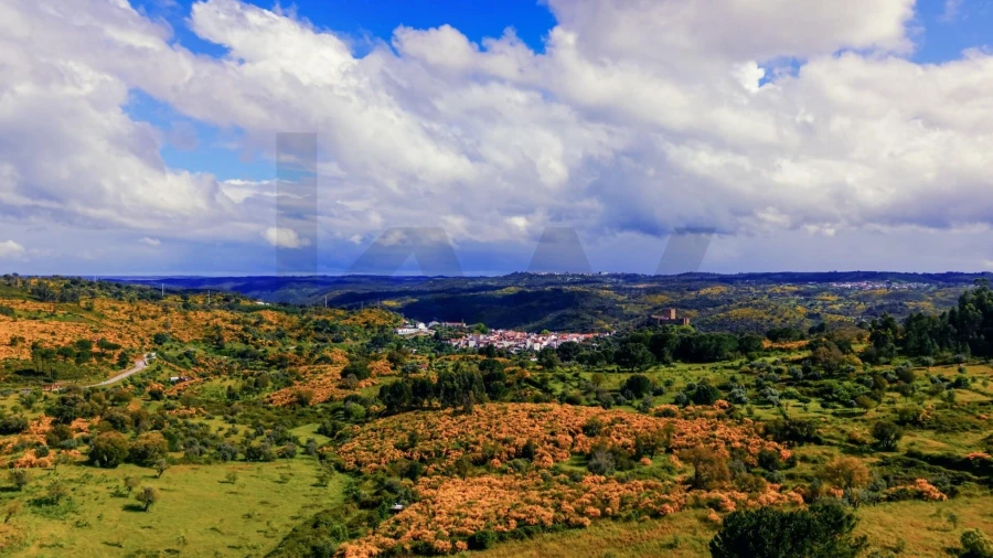 Terreno para Venda em Belver