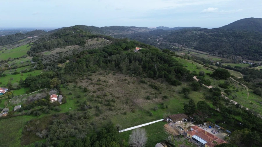 Terreno para Venda em Azeitão (São Lourenço e São Simão) Foto 4