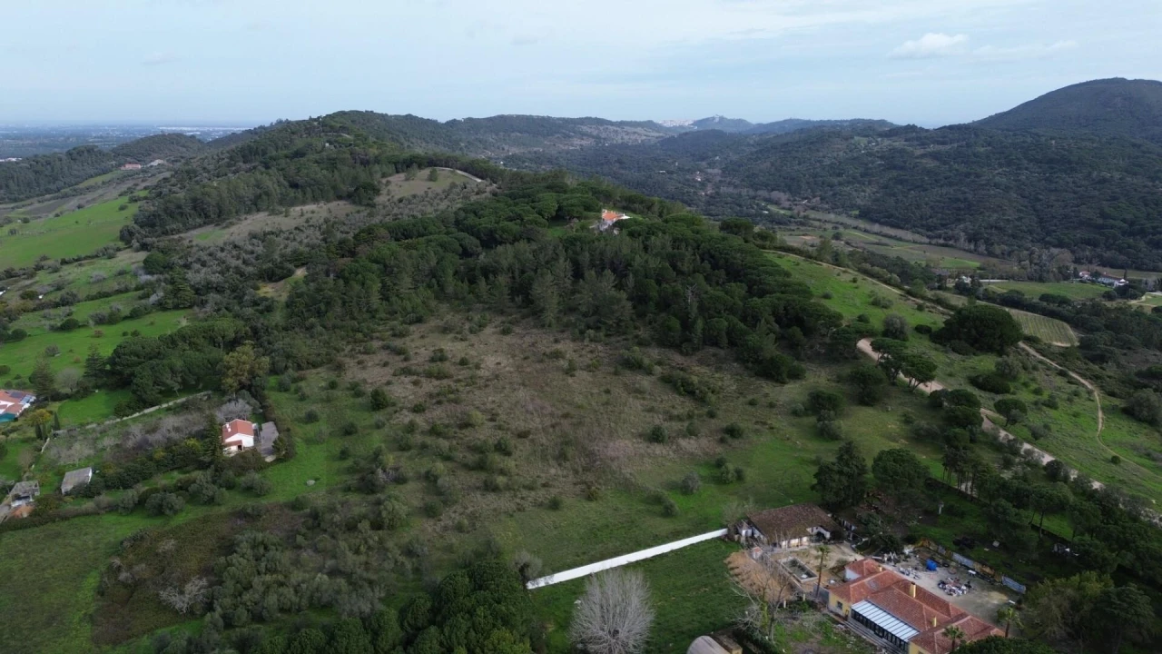 Terreno para Venda em Azeitão (São Lourenço e São Simão) Foto 4