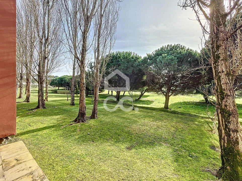 Moradia T2 para Arrendamento em Vau Foto 18