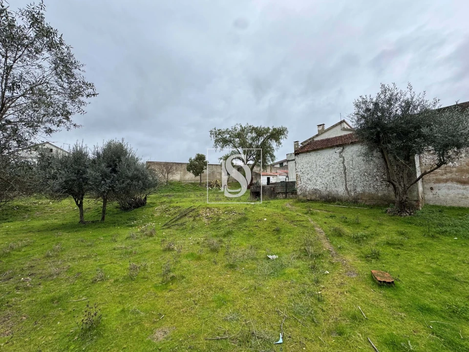 Moradia T3 para Venda em Santa Margarida da Coutada Foto 35