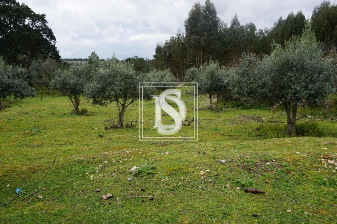 Moradia T3 para Venda em Santa Margarida da Coutada Foto 24