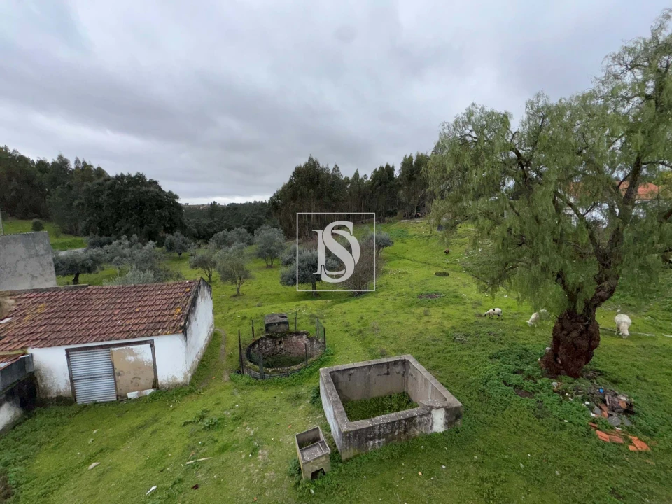 Moradia T3 para Venda em Santa Margarida da Coutada Foto 25