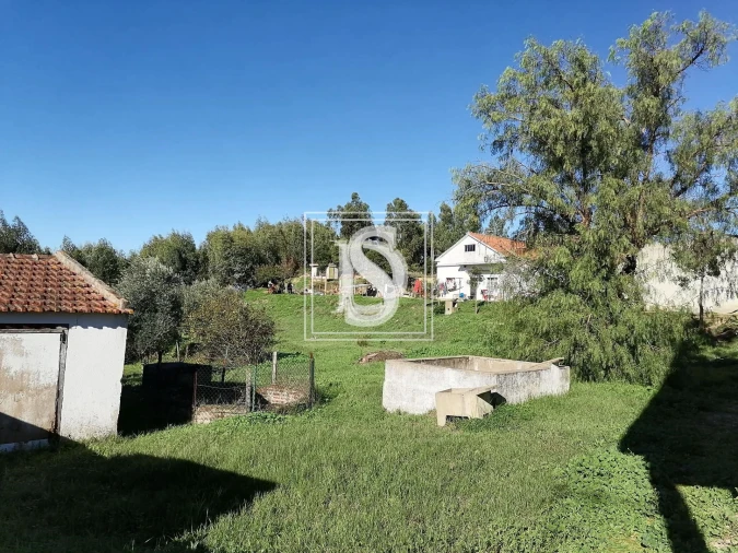 Moradia T3 para Venda em Santa Margarida da Coutada Foto 9