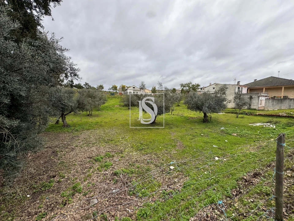 Moradia T3 para Venda em Santa Margarida da Coutada Foto 36