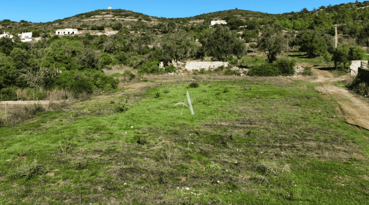 Terreno para Venda em Santa Barbara de Nexe Foto 7