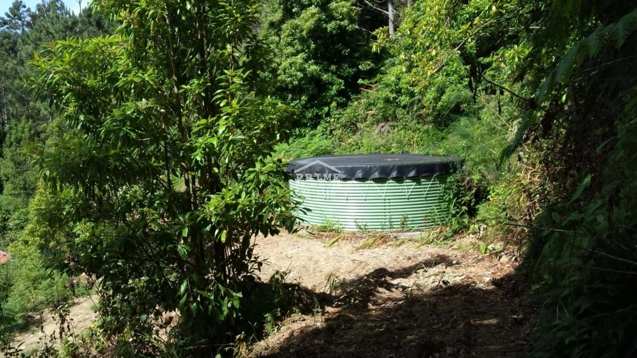Terreno para Venda em São Vicente Foto 3