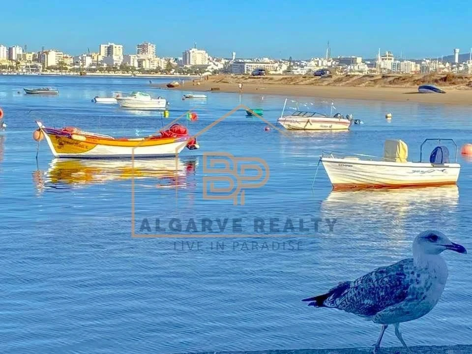 Negócio para Venda em Estômbar e Parchal Foto 28