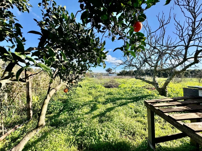 Quinta T3 para Venda em Odiaxere Foto 43