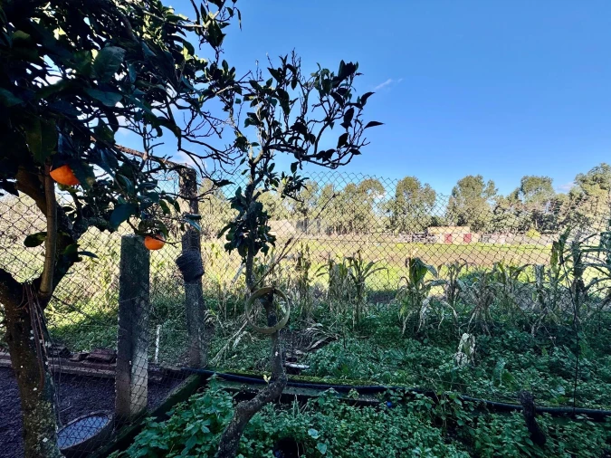 Quinta T3 para Venda em Odiaxere Foto 41