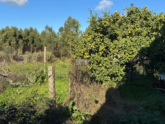 Quinta T3 para Venda em Odiaxere Foto 14