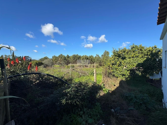 Quinta T3 para Venda em Odiaxere Foto 27