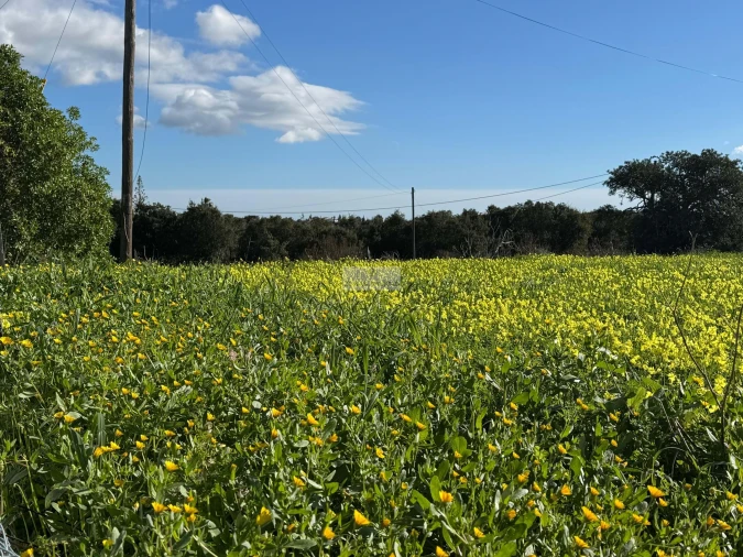 Quinta T3 para Venda em Odiaxere Foto 24