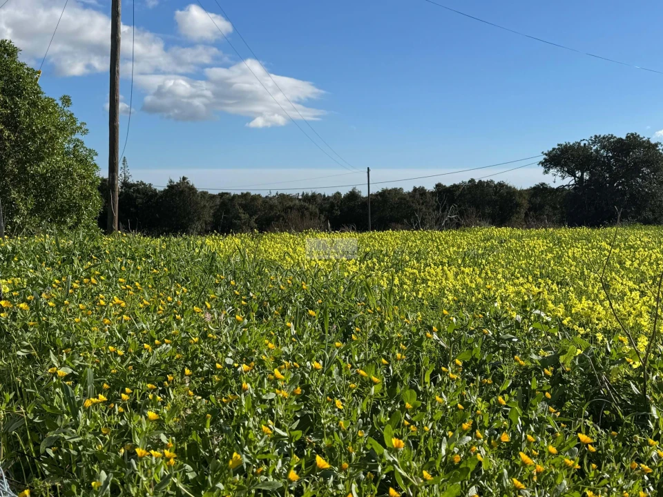 Quinta T3 para Venda em Odiaxere Foto 17