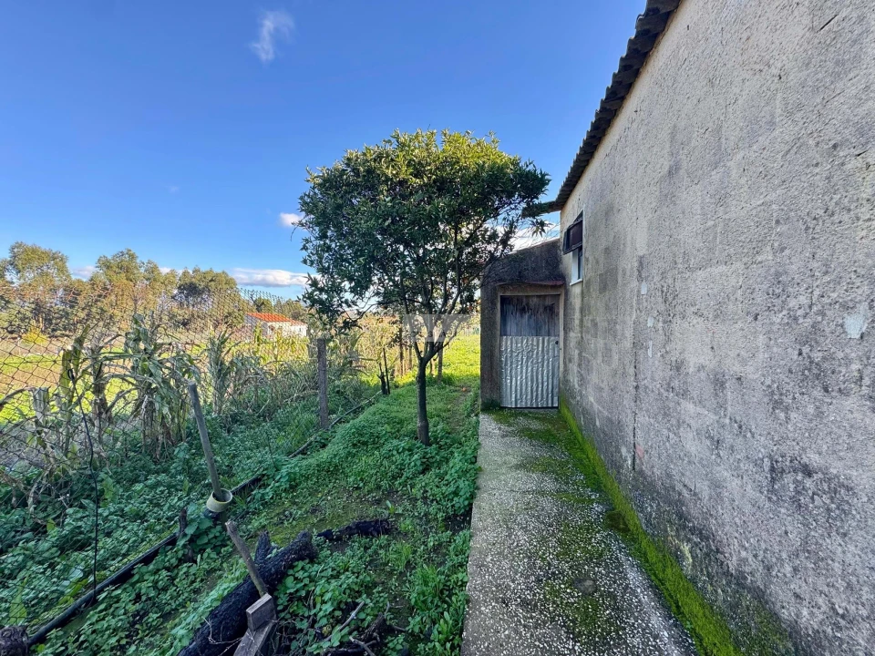 Quinta T3 para Venda em Odiaxere Foto 42