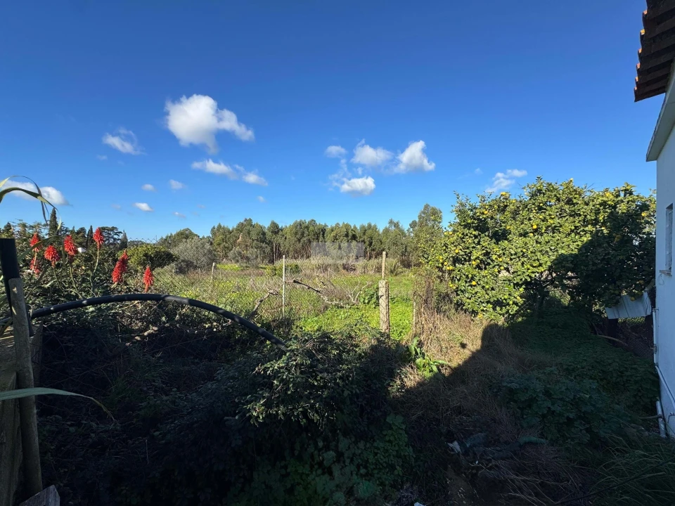 Quinta T3 para Venda em Odiaxere Foto 27