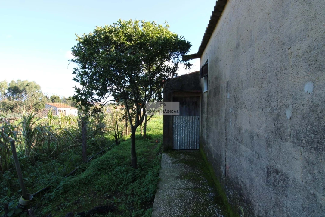 Quinta T3 para Venda em Odiaxere Foto 21