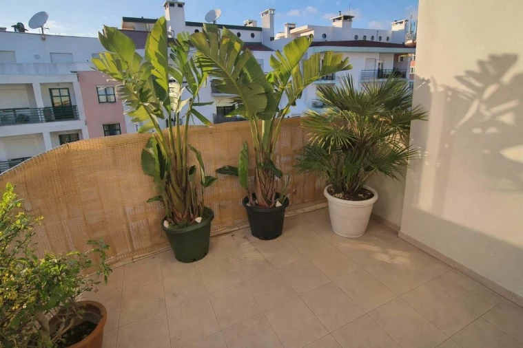 Apartamento T3 para Venda em Algés, Linda-A-Velha e Cruz Quebrada-Dafundo Foto 3