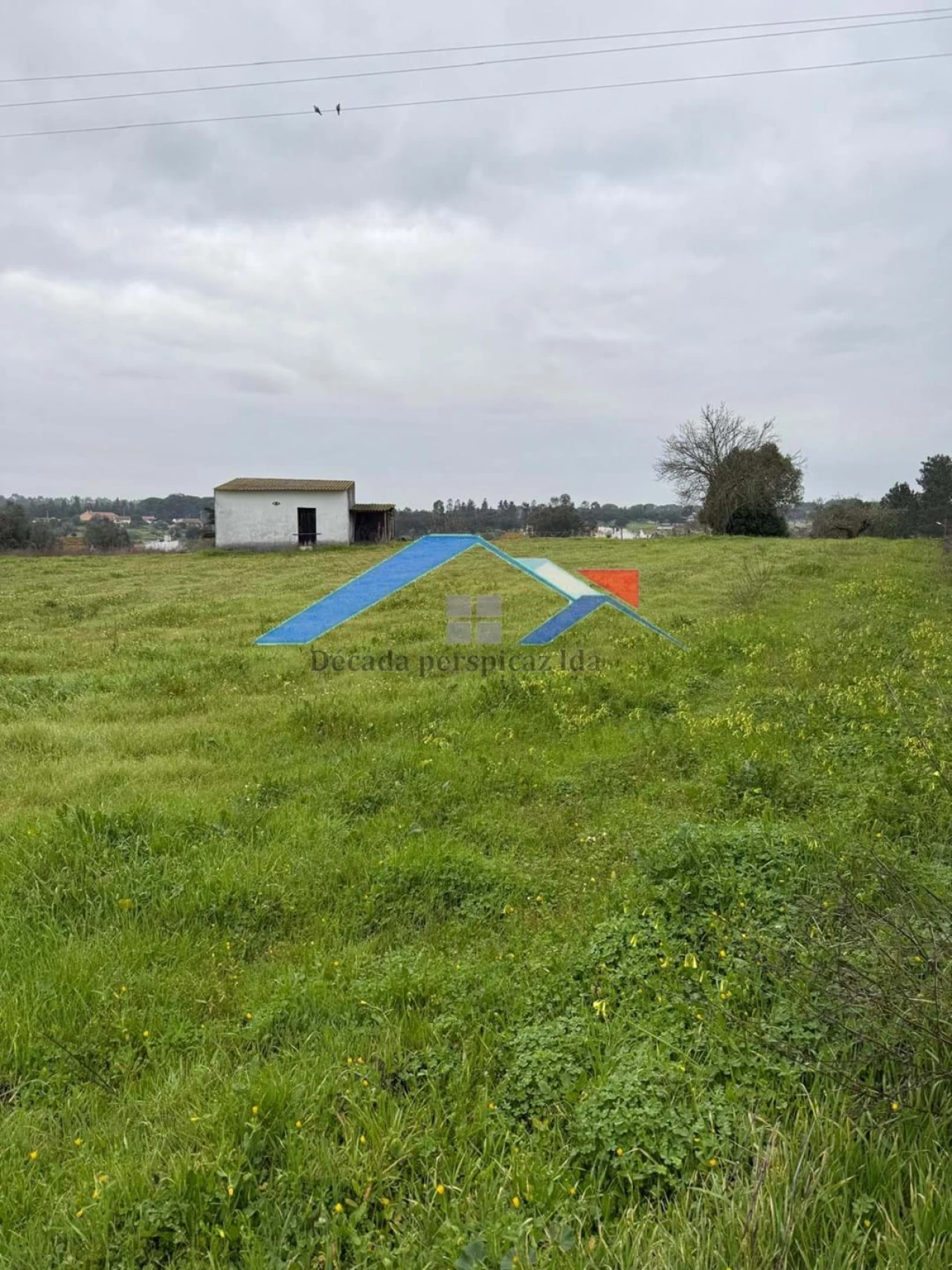 Terreno para Venda em Coruche, Fajarda e Erra Foto 7