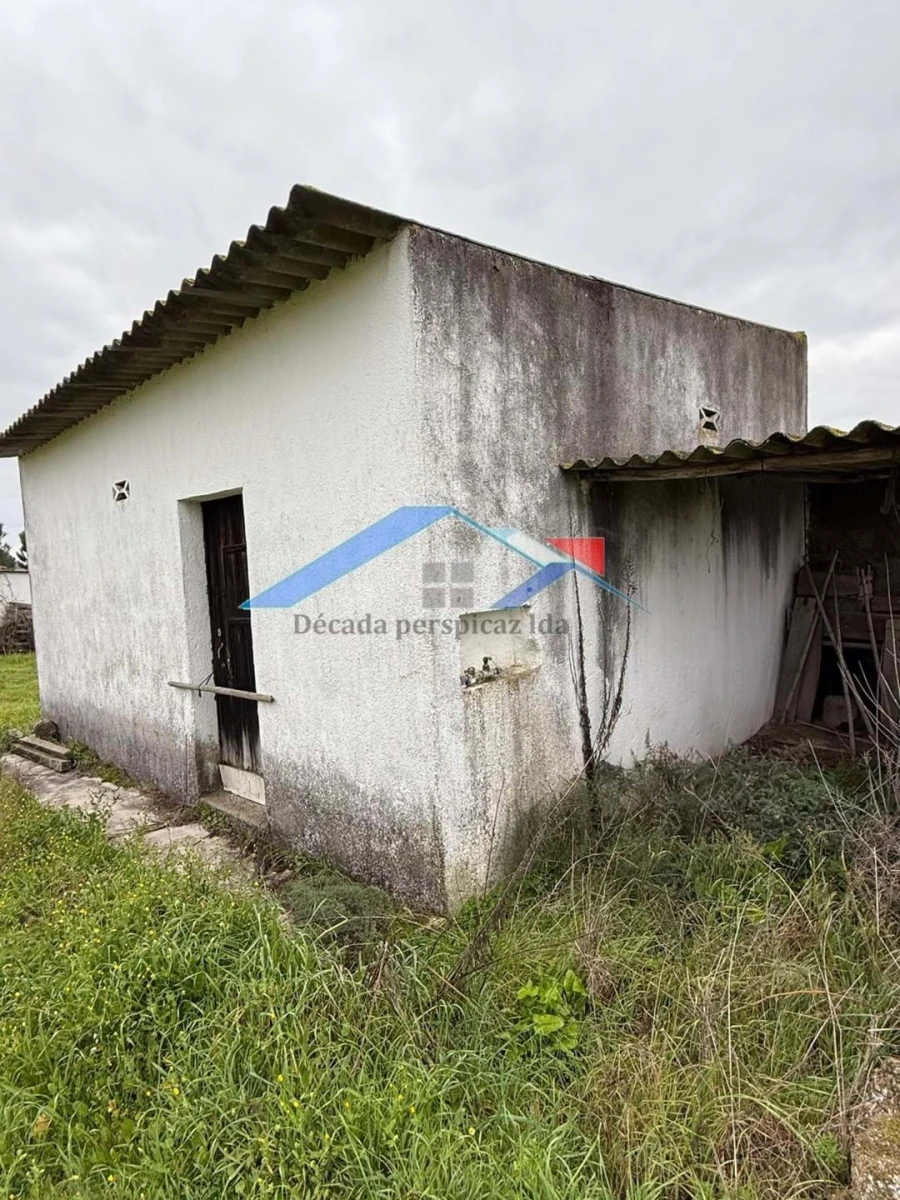 Terreno para Venda em Coruche, Fajarda e Erra Foto 9