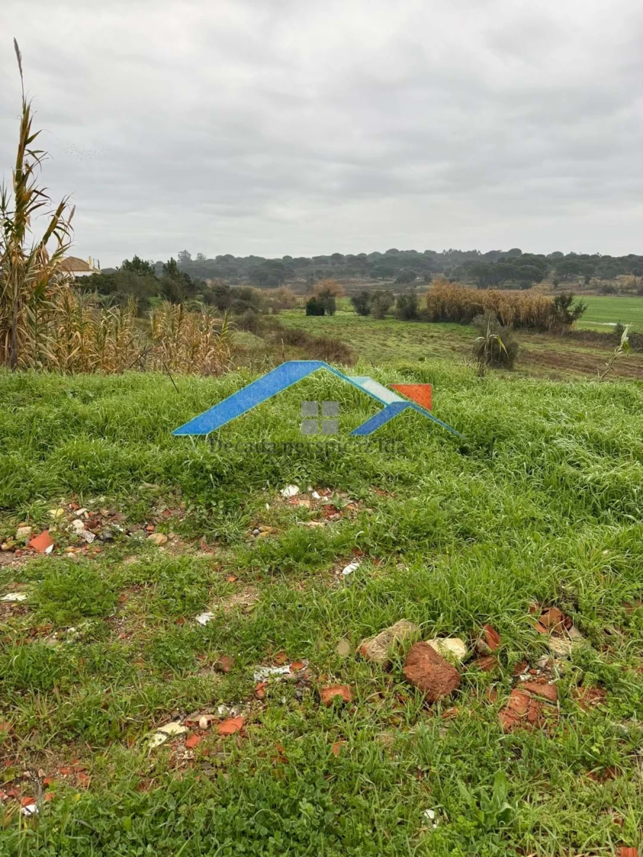 Terreno para Venda em Coruche, Fajarda e Erra Foto 5
