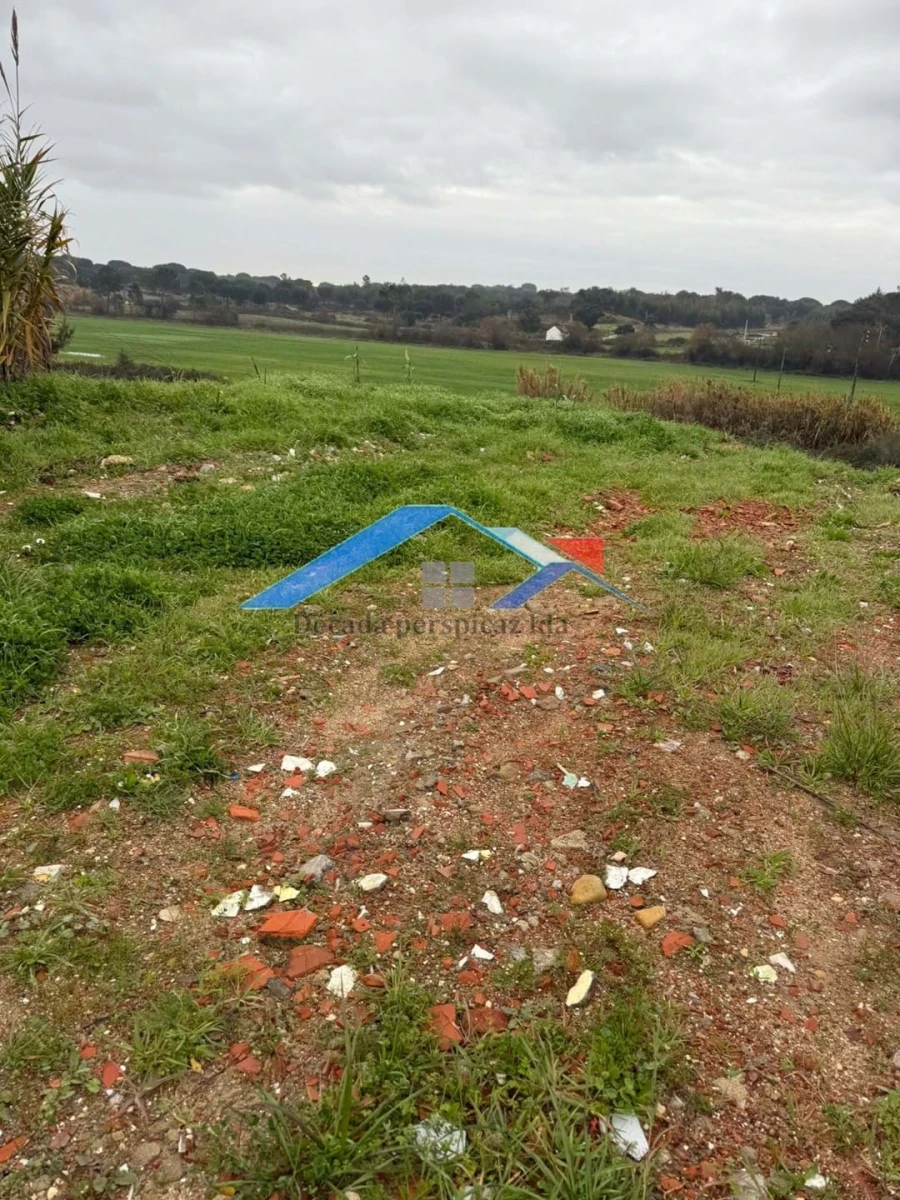 Terreno para Venda em Coruche, Fajarda e Erra Foto 3