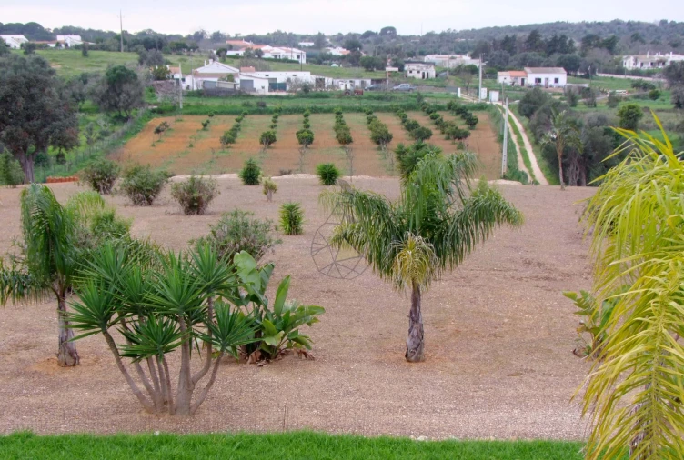 Quinta T5 para Venda em Odiaxere Foto 42