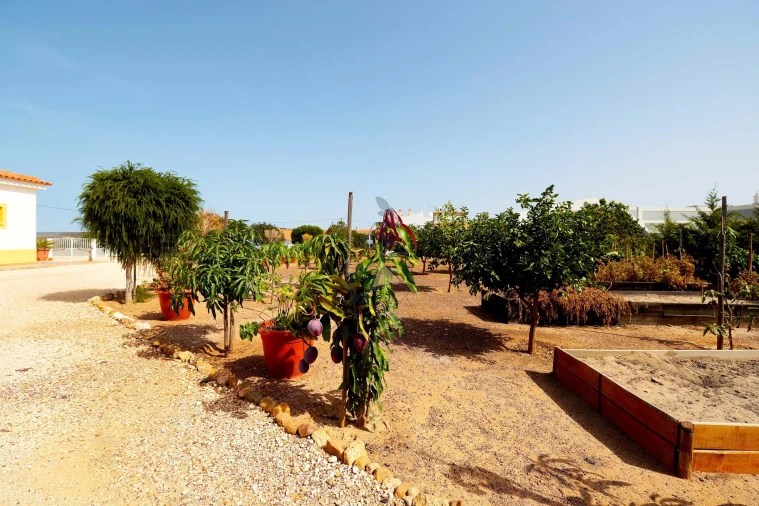 Quinta T5 para Venda em Odiaxere Foto 7