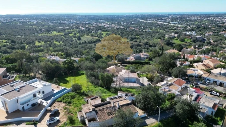 Terreno para Venda em Loule (São Clemente) Foto 7