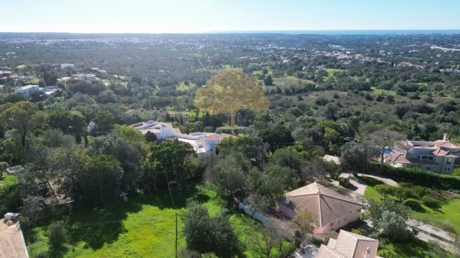 Terreno para Venda em Loule (São Clemente) Foto 6