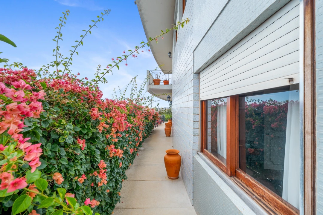 Moradia T4 para Venda em Funchal (Santa Maria Maior) Foto 13