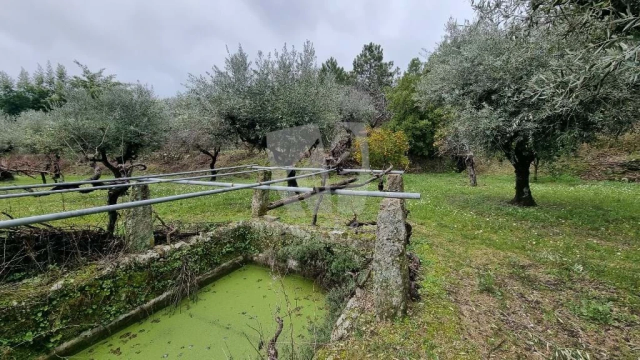Terreno Agricola ou Rústico para Venda em Póvoa de Atalaia e Atalaia do Campo Foto 18