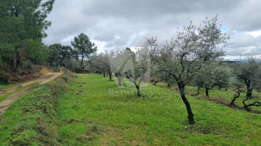 Terreno Agricola ou Rústico para Venda em Póvoa de Atalaia e Atalaia do Campo Foto 3