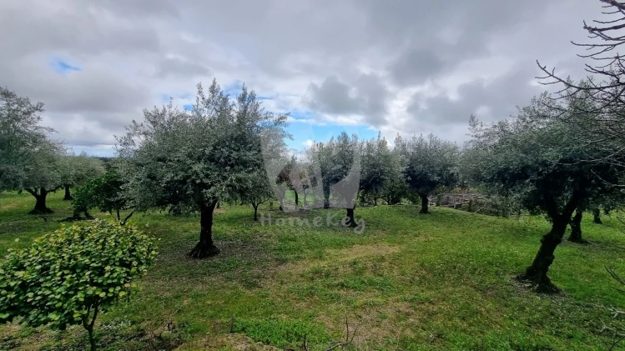 Terreno Agricola ou Rústico para Venda em Póvoa de Atalaia e Atalaia do Campo Foto 8