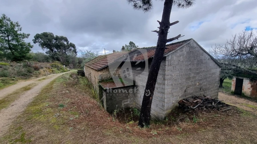 Terreno Agricola ou Rústico para Venda em Póvoa de Atalaia e Atalaia do Campo Foto 4