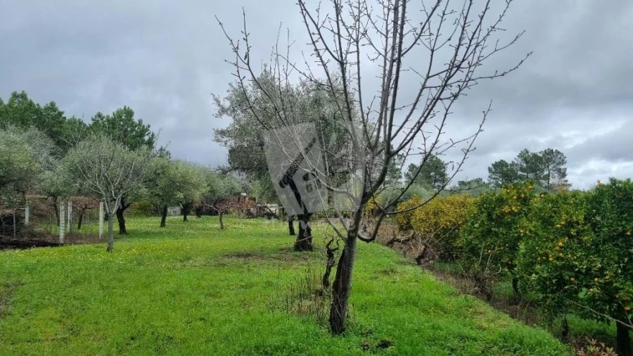 Terreno Agricola ou Rústico para Venda em Póvoa de Atalaia e Atalaia do Campo Foto 9