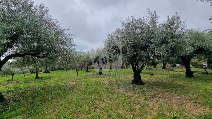 Terreno Agricola ou Rústico para Venda em Póvoa de Atalaia e Atalaia do Campo Foto 21