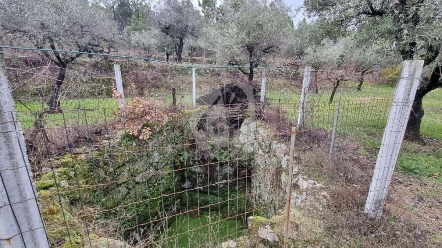 Terreno Agricola ou Rústico para Venda em Póvoa de Atalaia e Atalaia do Campo Foto 13