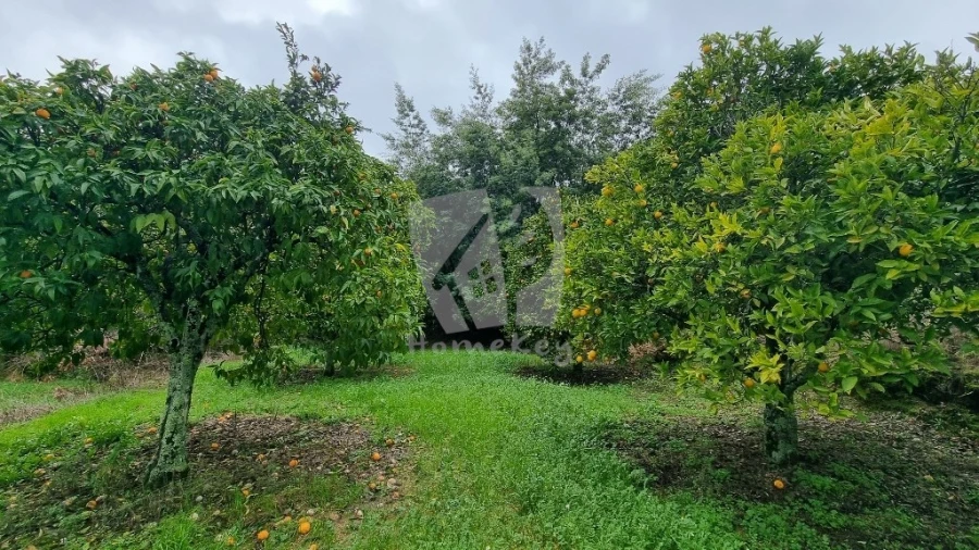 Terreno Agricola ou Rústico para Venda em Póvoa de Atalaia e Atalaia do Campo Foto 16