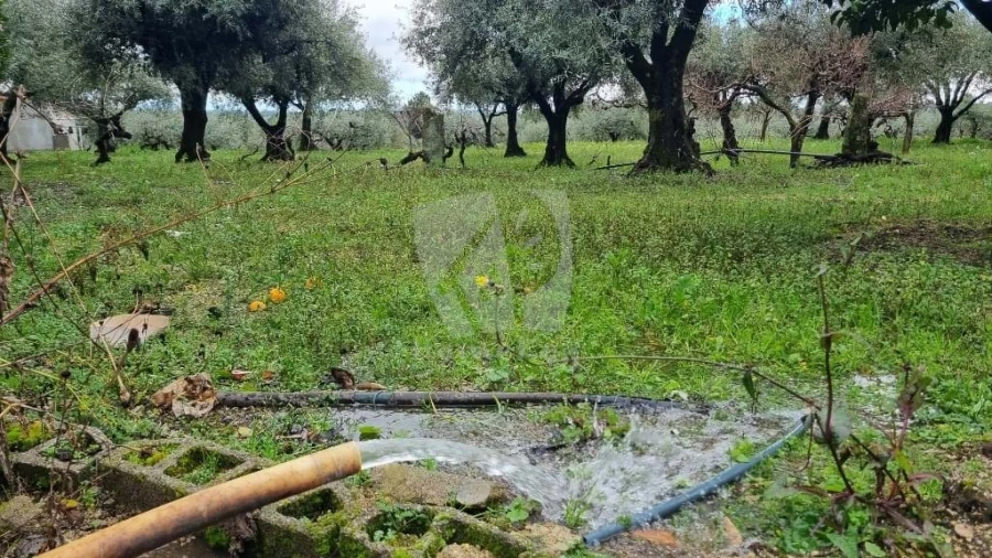 Terreno Agricola ou Rústico para Venda em Póvoa de Atalaia e Atalaia do Campo Foto 27