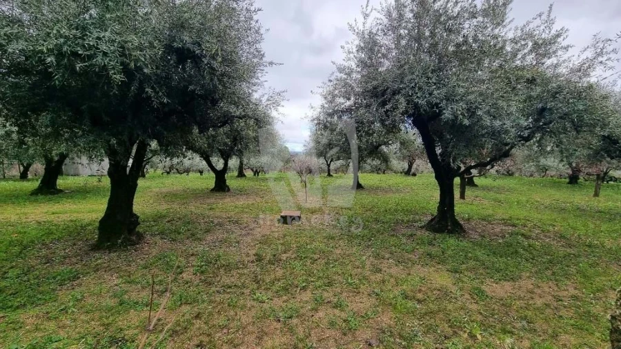 Terreno Agricola ou Rústico para Venda em Póvoa de Atalaia e Atalaia do Campo Foto 26