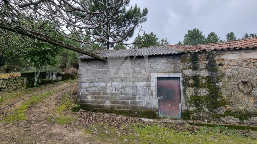 Terreno Agricola ou Rústico para Venda em Póvoa de Atalaia e Atalaia do Campo Foto 5